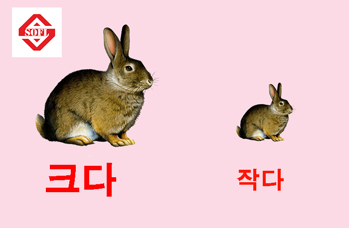Cặp từ trái nghĩa trong tiếng Hàn