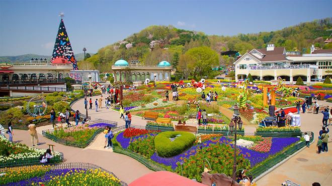 Everland ở Hàn Quốc