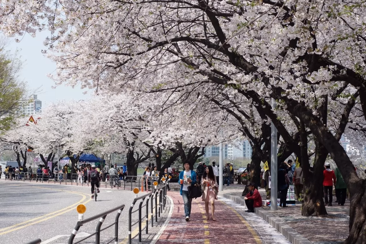 Bạn nên làm gì khi đến seoul