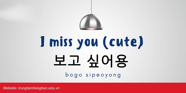 Bogo sipeoyong 보고 싶어요