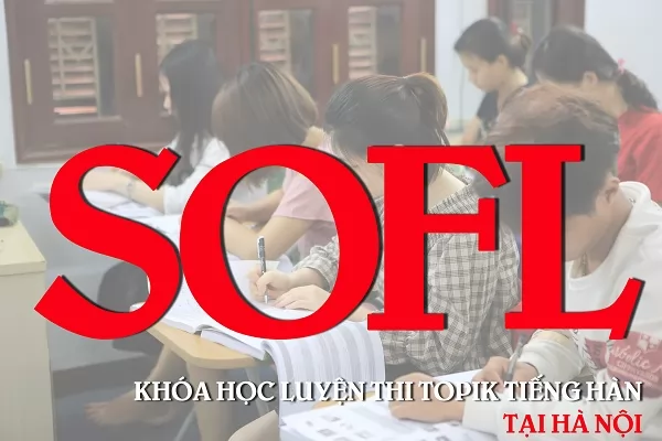 Khóa học luyện thi TOPIK tiếng Hàn sơ cấp tại Hà Nội