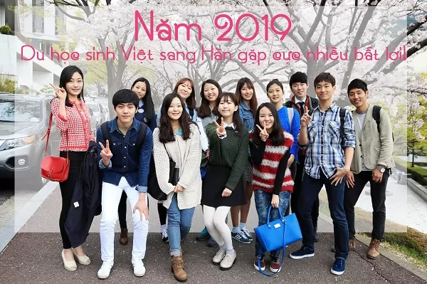 Năm 2019 - Du học sinh Việt sang Hàn gặp cực nhiều bất lợi!