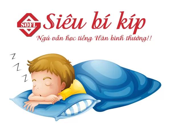Luyện nghe từ vựng tiếng Hàn trong khi… NGỦ!