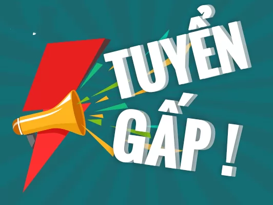 Trung tâm tiếng Hàn SOFL tuyển dụng nhân viên SEO và Content ĐI LÀM NGAY
