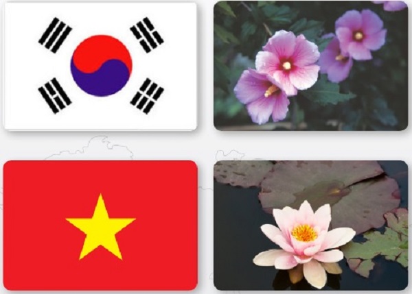 Luyện dịch tiếng Hàn sơ cấp chủ đề Quốc kỳ Việt Nam- Hàn Quốc