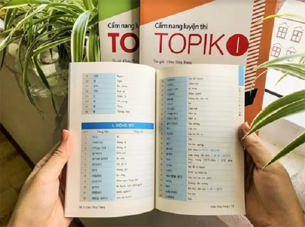 Mách bạn 150 mẫu ngữ pháp luyện thi Topik cực quan trọng