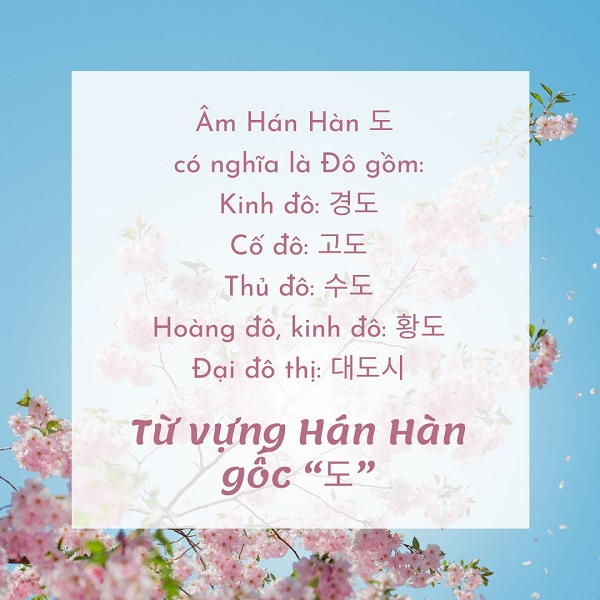Từ vựng Hán Hàn gốc “도”