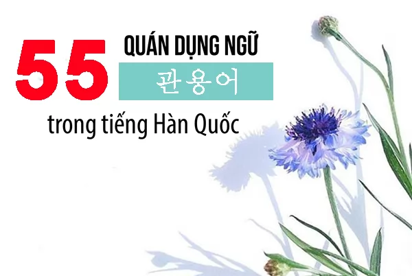 Quán dụng ngữ trong tiếng Hàn