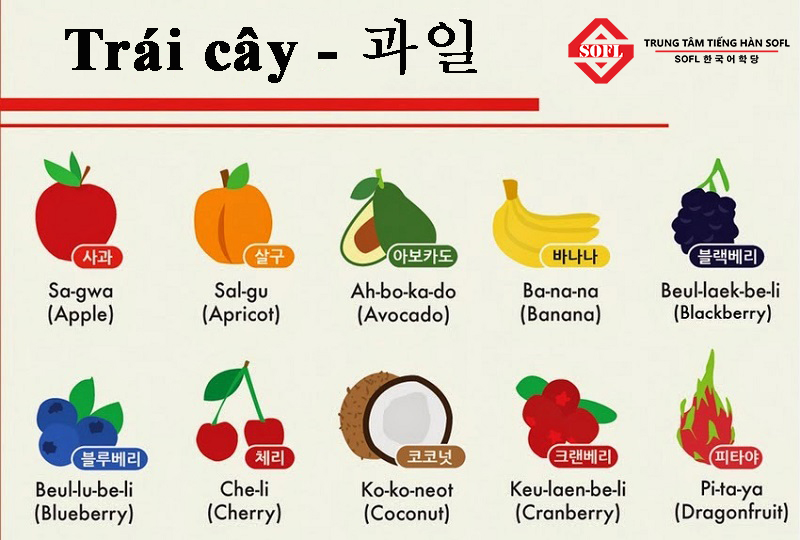 Tên các loại trái cây bằng tiếng Hàn