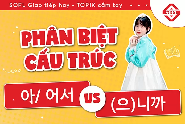 Phân biệt 아/어서, (으)니까, 기 때문에