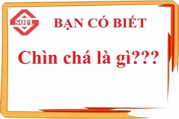 Chìn chá là gì và ý nghĩa của chìn chá