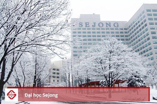 Đại học Sejong Hàn Quốc