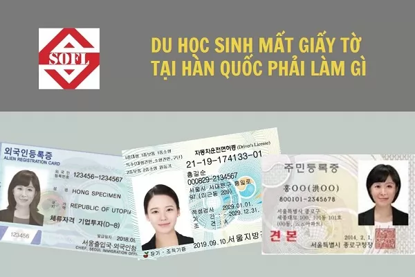 Khi mất giấy tờ tại Hàn Quốc, các du học sinh nên làm gì