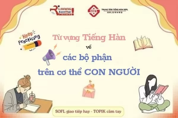 từ vựng tiếng hàn về các bộ phận cơ thể con người